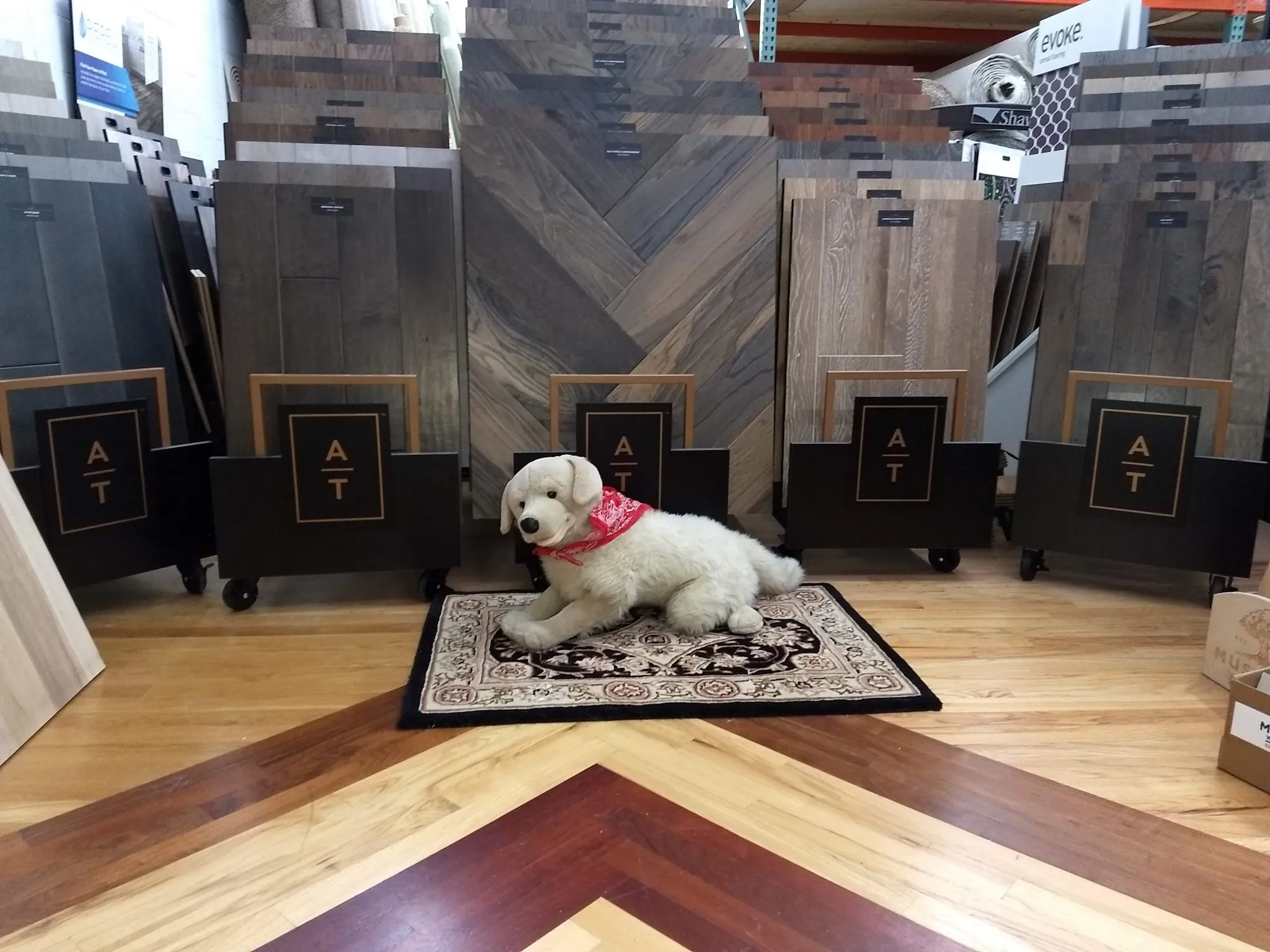 Showroom | Neils Floor Covering